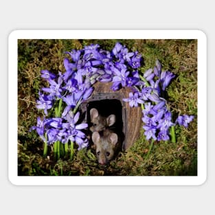 George the mouse in a log pile house - Spring flowers blue bells Sticker